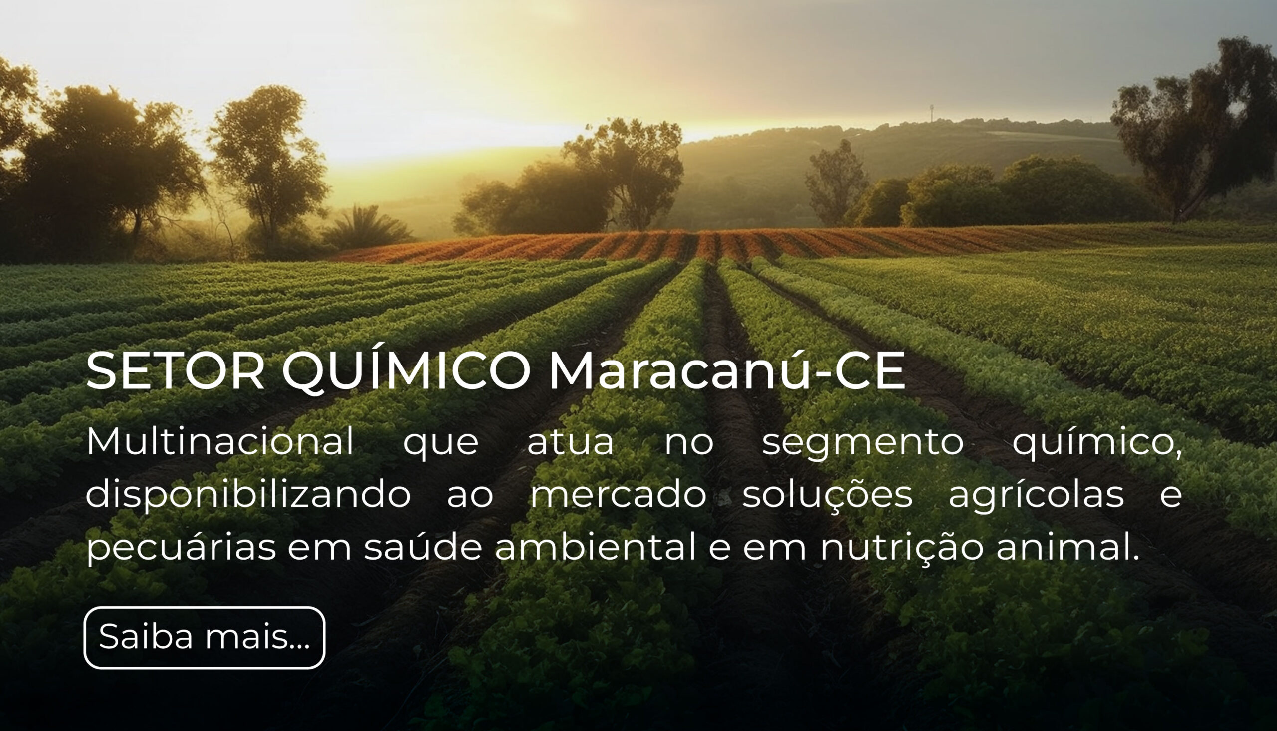 002-Quimico