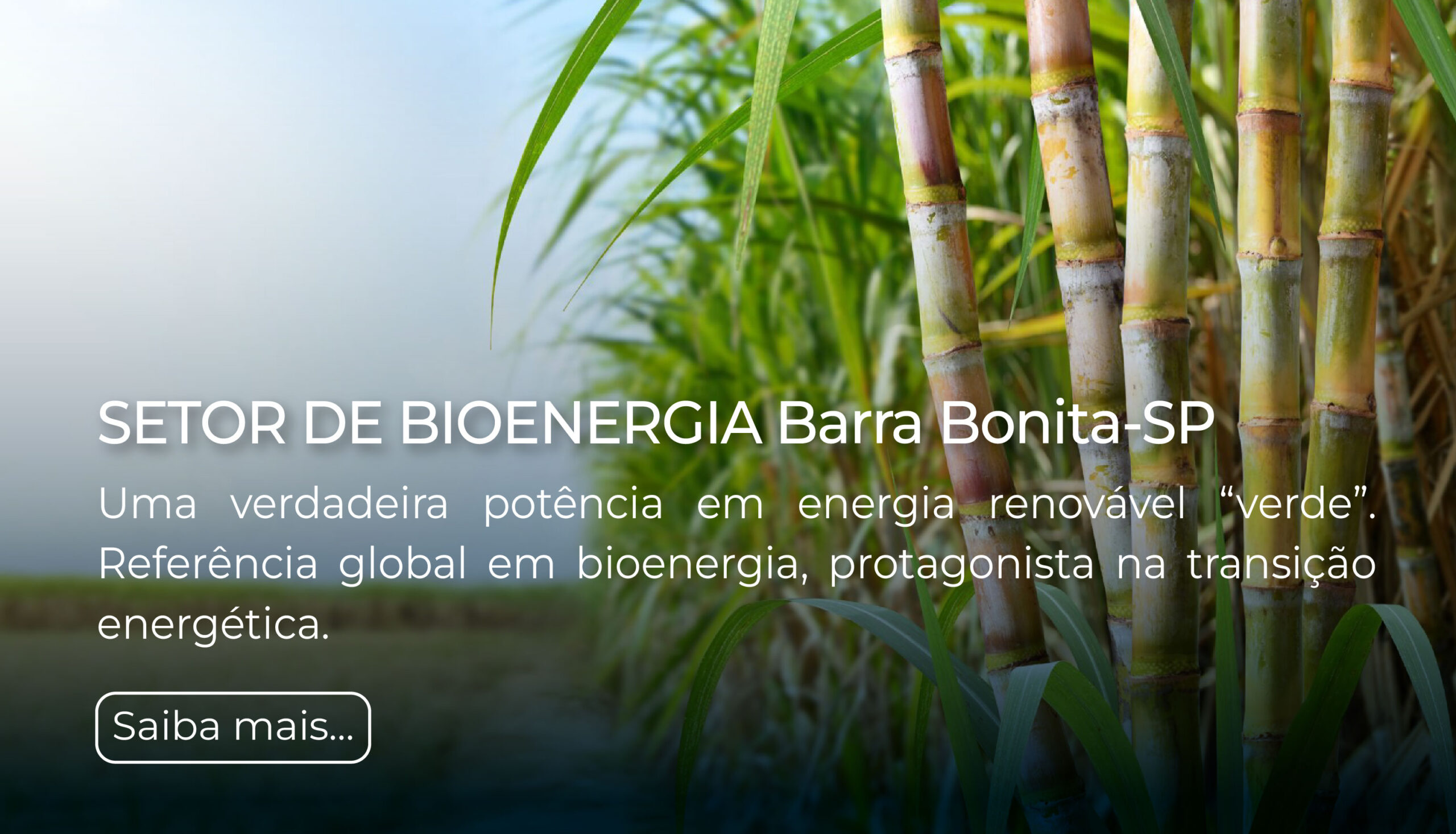 007-Bioenergia