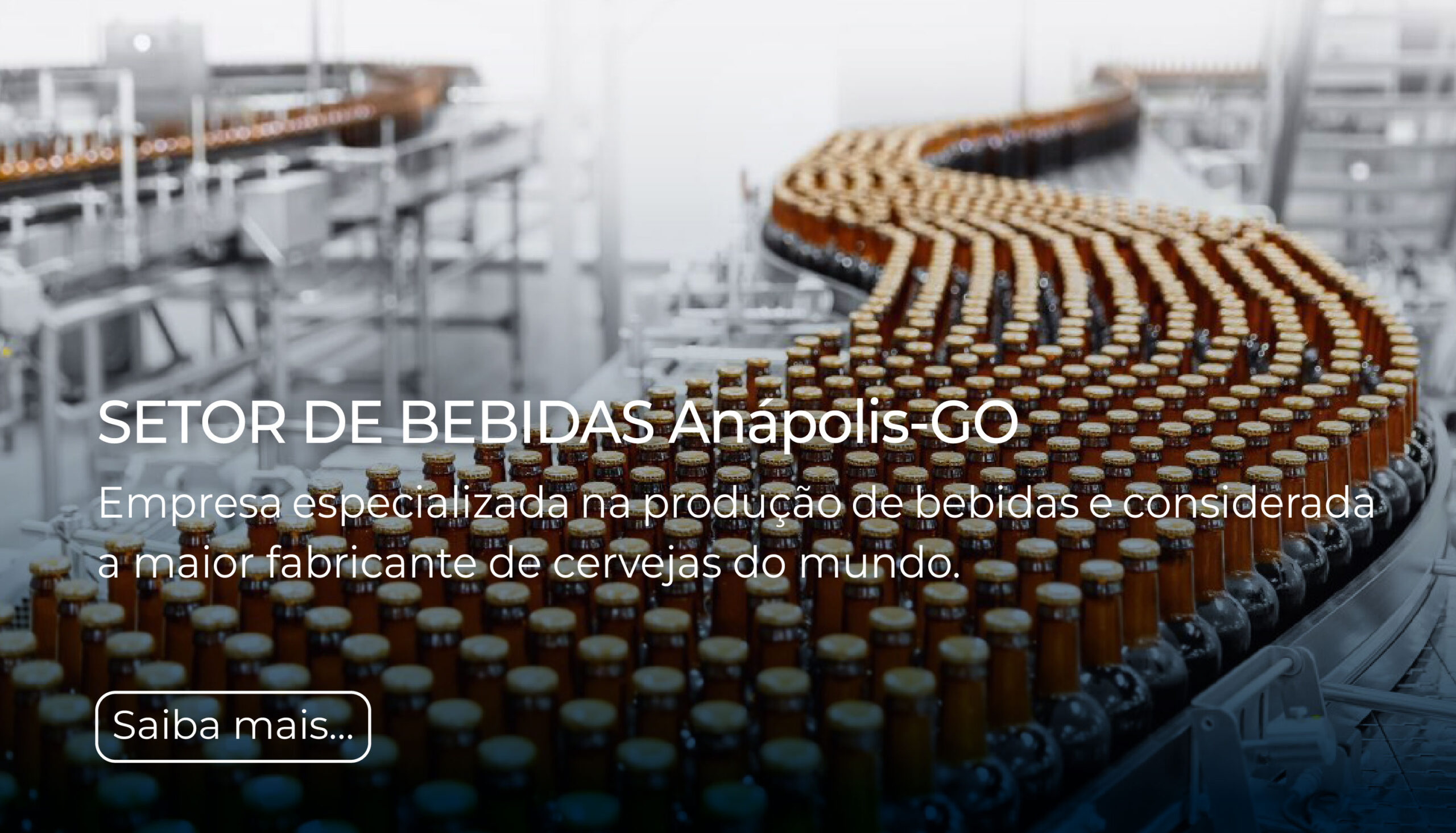 008-Bebidas