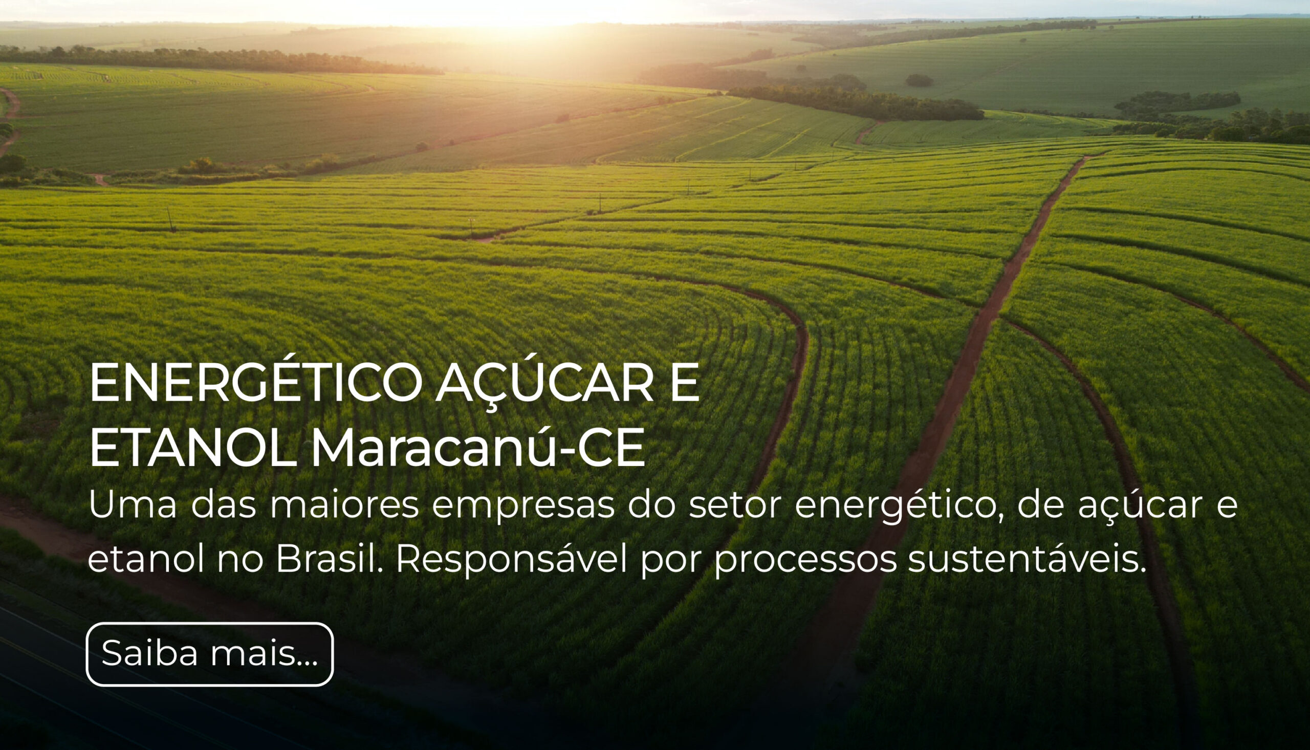 010-Açucar